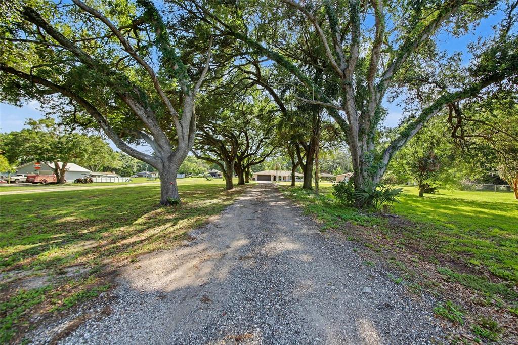 A gravel driveway leads through a canopy of large trees toward a single-story house — 10073 LAKE MEADOW ROAD, APOPKA, FL