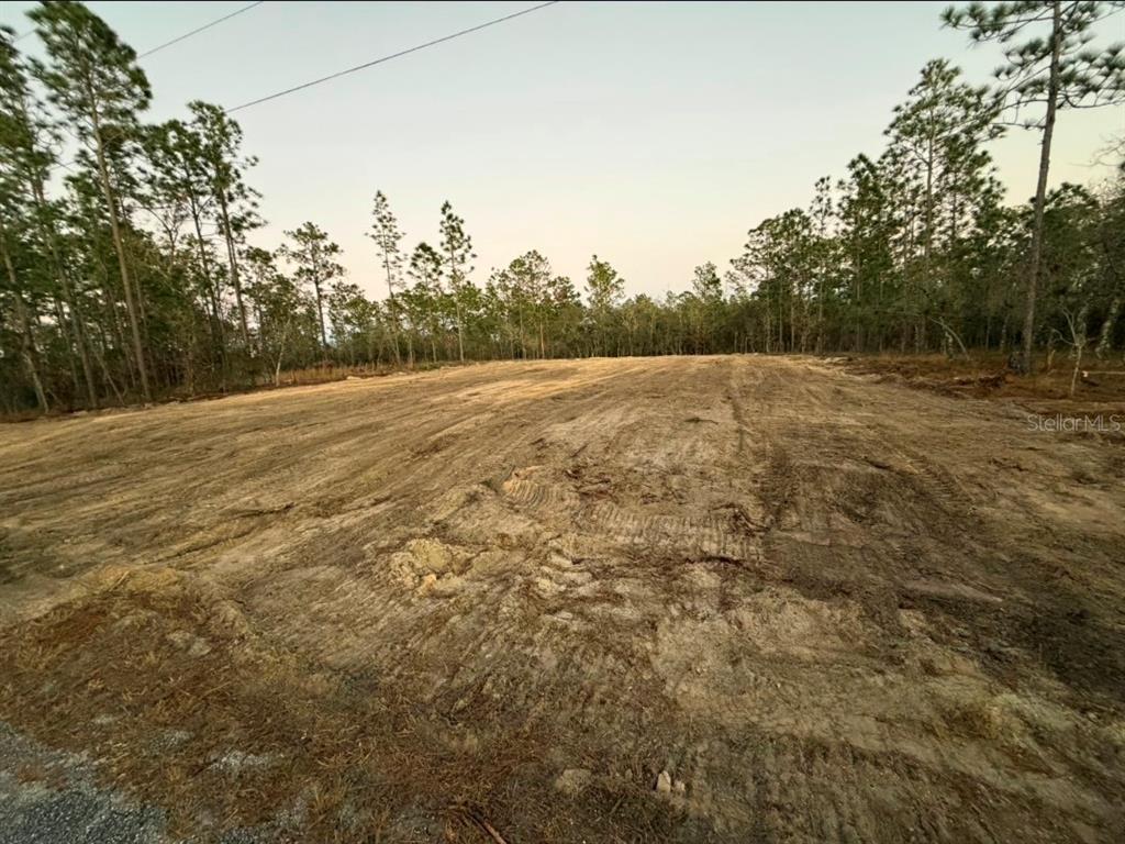 A cleared, dirt-covered vacant lot is surrounded by a line of pine trees — LOT 14 SE 129TH COURT, DUNNELLON, FL