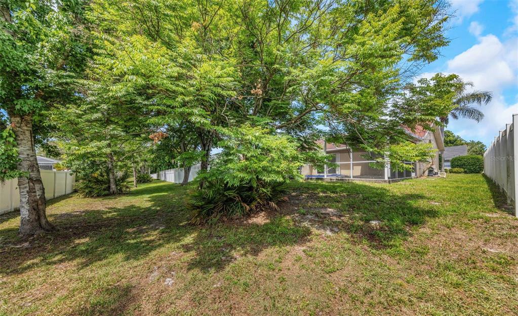 A grassy backyard features mature trees, a white privacy fence, and a screened-in pool enclosure — 7919 STARFIRE WAY, NEW PORT RICHEY, FL