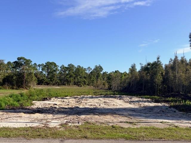 A cleared, sandy residential lot is surrounded by dense trees under a clear blue sky — 870 E Arturo St, Lehigh Acres FL 33974, LEHIGH ACRES, FL