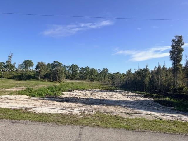 A vacant, sandy lot is bordered by a paved road and a line of trees — 870 E Arturo St, Lehigh Acres FL 33974, LEHIGH ACRES, FL