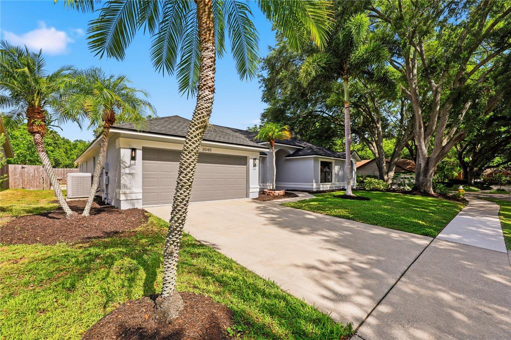 A single-story house with a gray garage, palm trees, and a concrete driveway — 3040 WINDRIDGE OAKS DRIVE, PALM HARBOR, FL