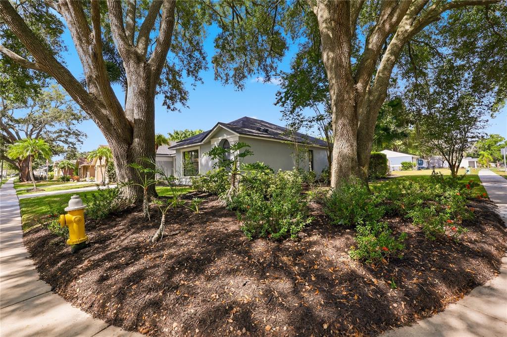 A house exterior with a yellow fire hydrant and large trees in the front yard — 3040 WINDRIDGE OAKS DRIVE, PALM HARBOR, FL