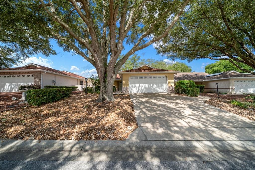 A yellow single-story house with a two-car garage and a large tree in the front — 9040 SW 91ST TERRACE, OCALA, FL
