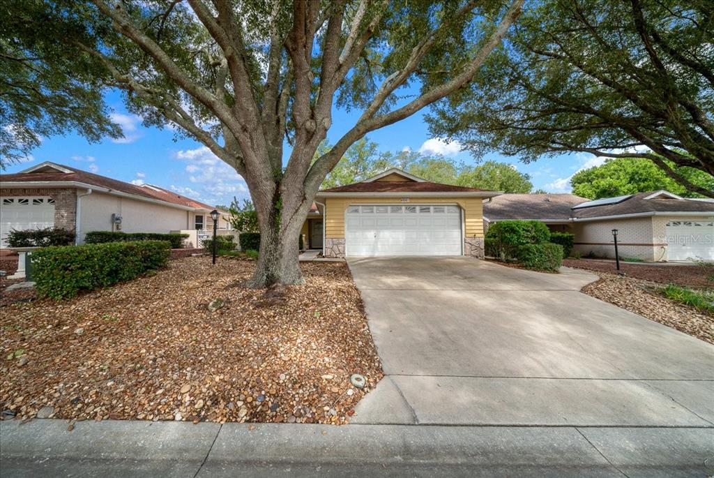 A single-story house with a yellow facade, a two-car garage, and a large front tree — 9040 SW 91ST TERRACE, OCALA, FL