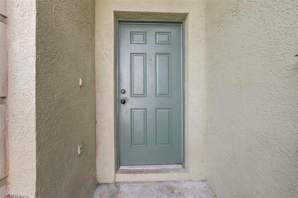 A sage green six-panel front door is set into a beige stucco exterior wall — 507 GREG STREET, VALRICO, FL