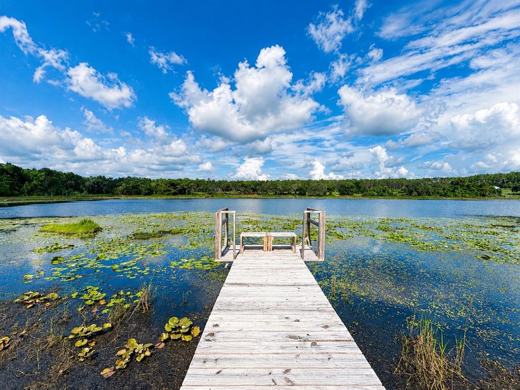 A wooden dock with built-in benches extends into a lake surrounded by trees and vegetation — 16758 SE 181ST TERRACE, WEIRSDALE, FL