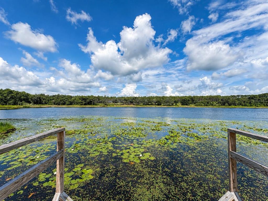 A wooden dock extends into a lake filled with lily pads under a blue sky — 16758 SE 181ST TERRACE, WEIRSDALE, FL