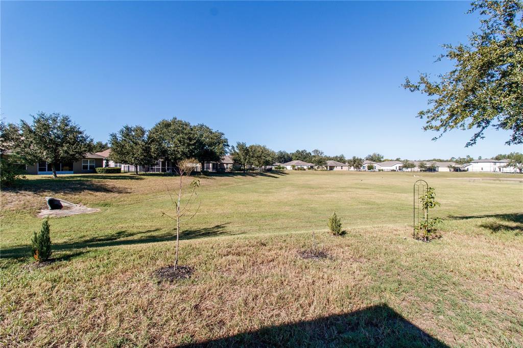 A grassy backyard overlooks a large open field with distant houses under a clear sky — 13541 NITI DRIVE, HUDSON, FL