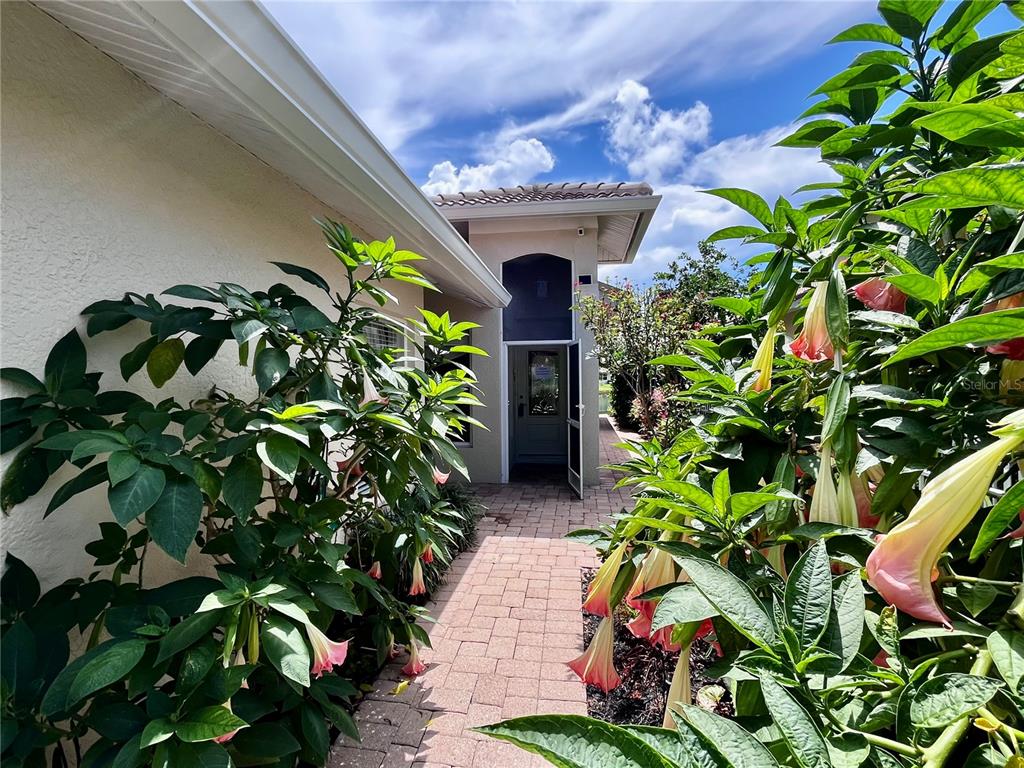 A brick walkway leads to a house entrance flanked by blooming angel's trumpet plants — 1078 TOPELIS DRIVE, ENGLEWOOD, FL