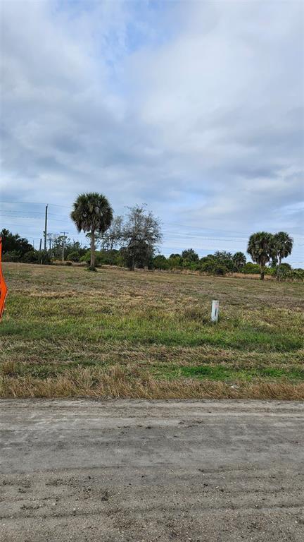 A vacant, grassy lot features a few palm trees under a cloudy sky — 279 BOUNDARY BOULEVARD, ROTONDA WEST, FL