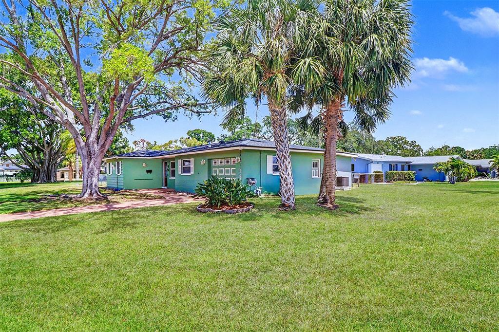 A green, single-story house with a palm tree and a large tree in the yard — 7901 3RD STREET N, ST PETERSBURG, FL