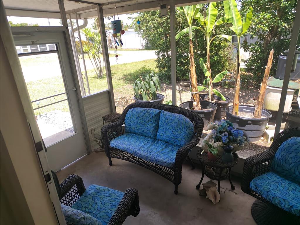A screened-in porch features wicker furniture with blue patterned cushions and potted banana plants — 37748 MARKLAND AVENUE, ZEPHYRHILLS, FL