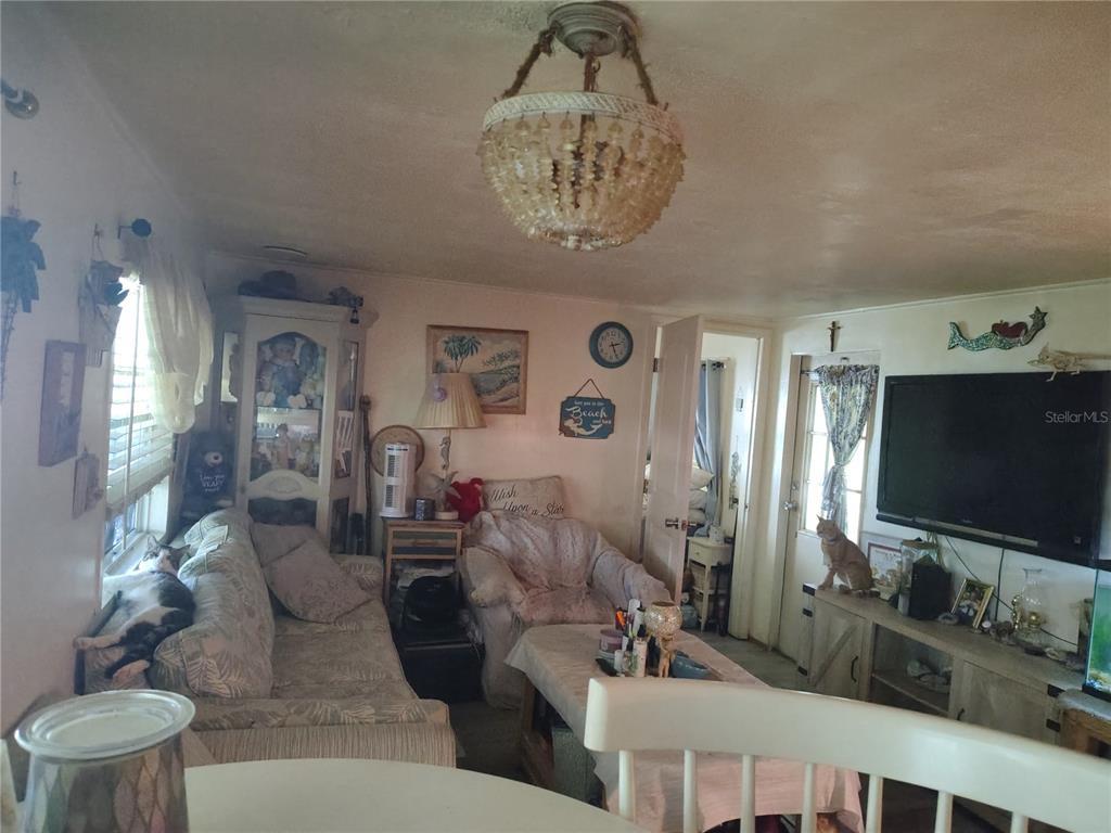 A living room features a beaded chandelier, a sofa with a cat, and a television — 37748 MARKLAND AVENUE, ZEPHYRHILLS, FL