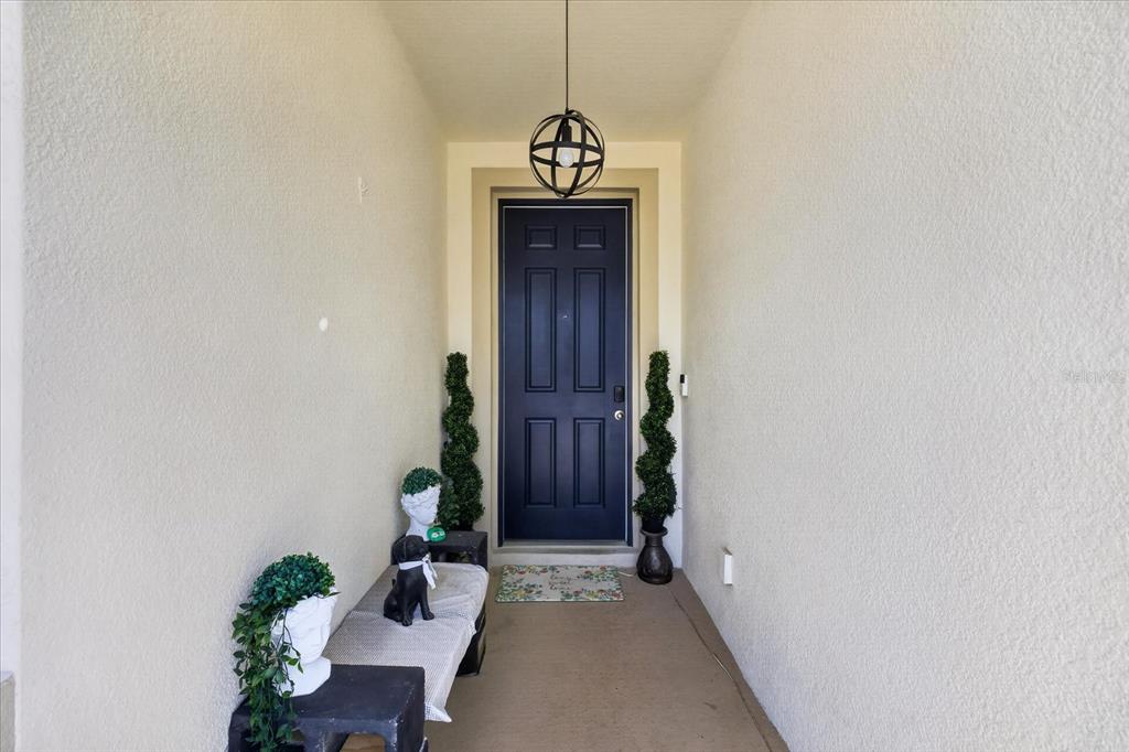 A covered entryway features a dark blue front door, a pendant light, and decorative plants — 13504 GOLDEN LIME AVENUE, SPRING HILL, FL