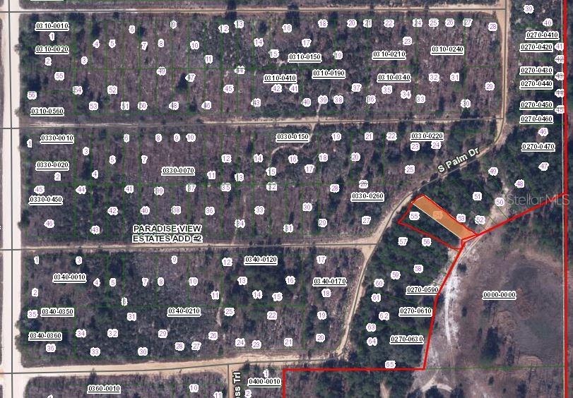 00 CYPRESS TRAIL, INTERLACHEN, FL — photo 2 of 3