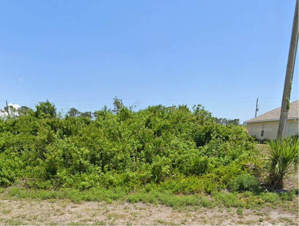 A dense, overgrown vacant lot sits next to a residential house under a clear sky — 12825 XAVIER AVENUE, PORT CHARLOTTE, FL