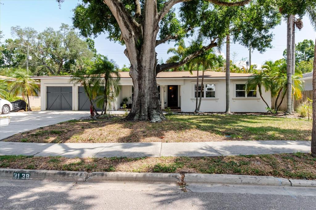 A single-story house with a large tree in the front yard and a driveway — 3138 W EUCLID AVENUE, TAMPA, FL