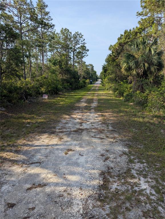 A dirt road stretches through a wooded area with a for sale sign on the left — 19036 RETRIEVER ROAD, BROOKSVILLE, FL