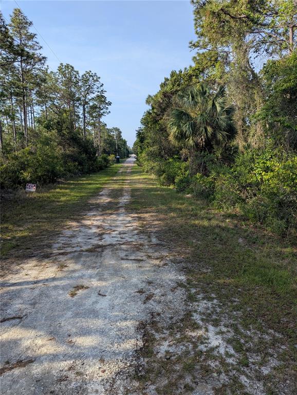 A dirt road stretches through a wooded area with a for sale sign on the left — 19036 RETRIEVER ROAD, BROOKSVILLE, FL