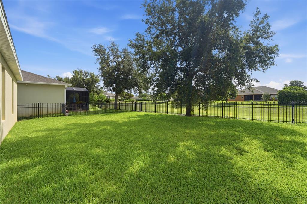 A grassy backyard features a black metal fence, mature trees, and a house exterior — 315 W FREESIA COURT, DELAND, FL