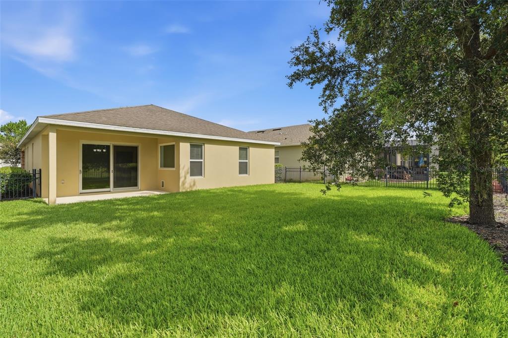 The backyard features a grassy lawn, a concrete patio, and a beige house exterior — 315 W FREESIA COURT, DELAND, FL