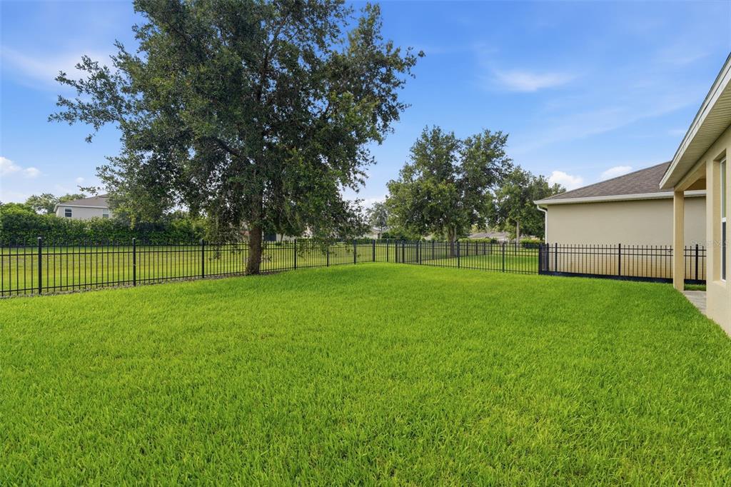 A grassy backyard features a black metal fence, large trees, and a beige house exterior — 315 W FREESIA COURT, DELAND, FL