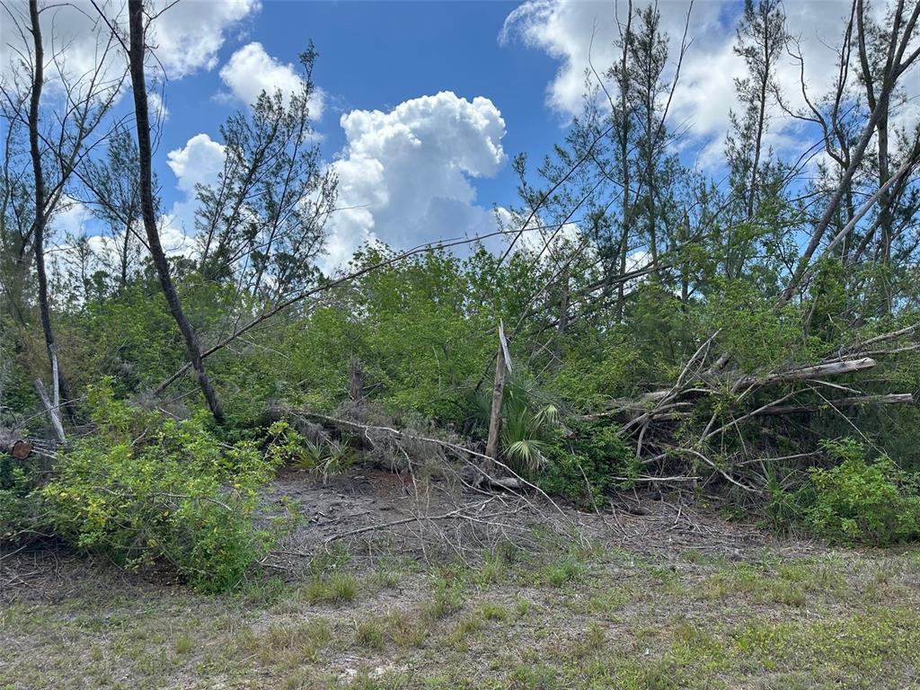 A view of a wooded lot with fallen trees and dense vegetation under a cloudy sky — 10792 HATCHET CIRCLE, PORT CHARLOTTE, FL