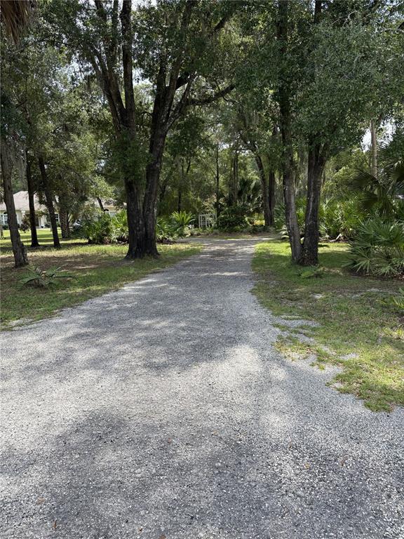 A gravel driveway leads through a wooded area toward a house in the distance — 155 BLAKE STREET, PIERSON, FL