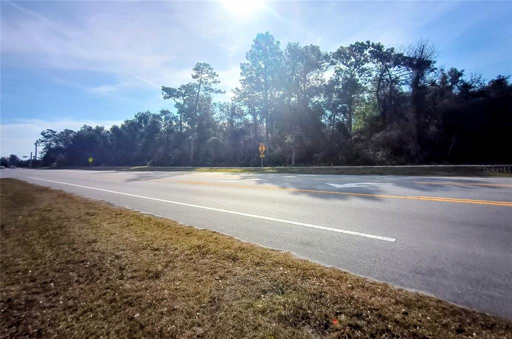 A paved road runs alongside a wooded area under a bright, sunny sky — 0 DOYLE ROAD, DELTONA, FL