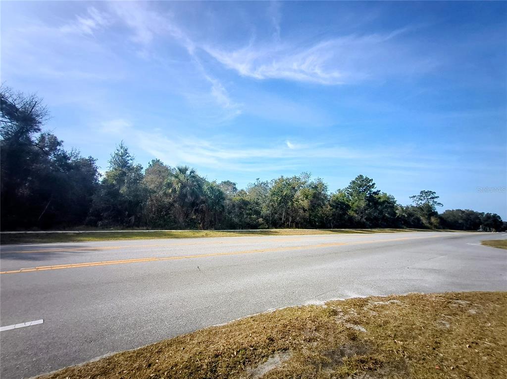 A paved road runs in front of a dense line of trees under a blue sky — 0 DOYLE ROAD, DELTONA, FL