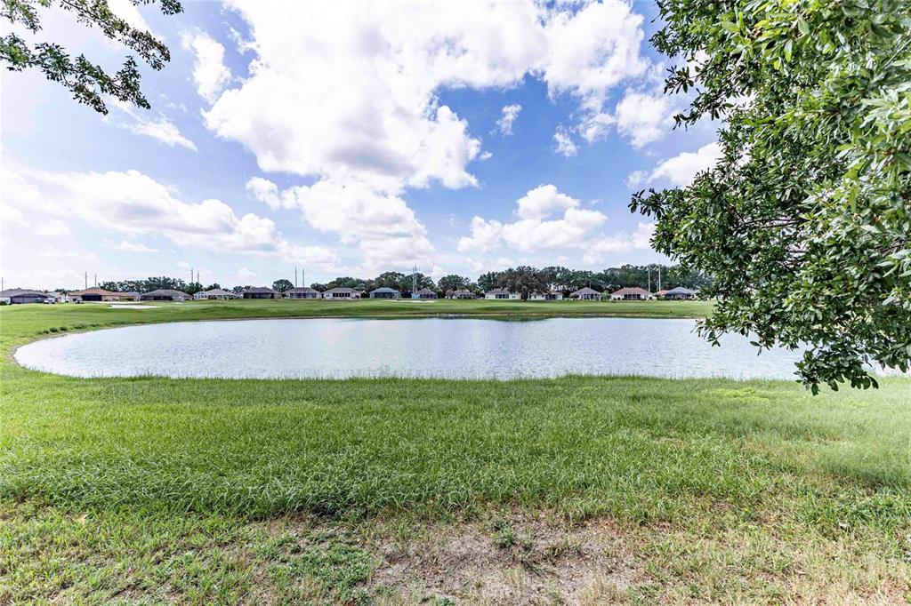 A grassy lawn overlooks a pond with residential houses in the background under a cloudy sky — 12104 SE 178TH STREET, SUMMERFIELD, FL