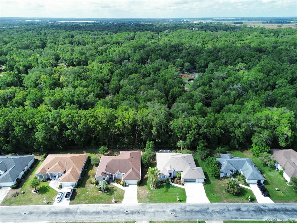 An aerial view shows a row of suburban houses bordering a dense forest — TBD NW 17TH STREET, OCALA, FL
