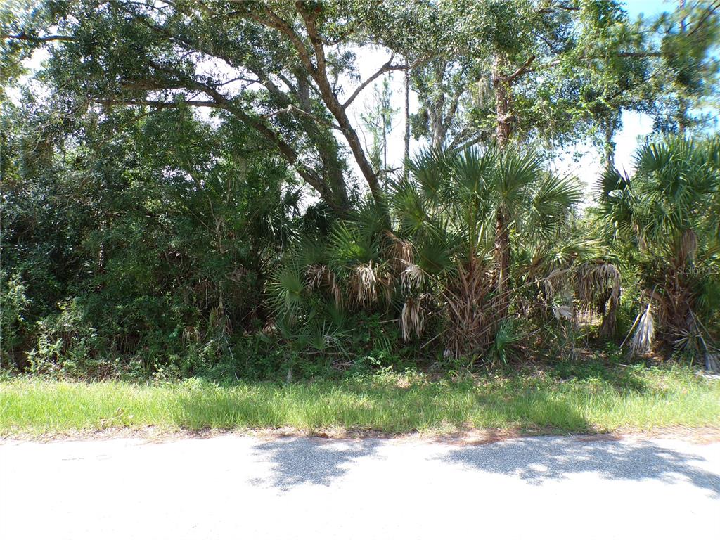 A view of a wooded, undeveloped lot with dense trees and palmetto bushes — ARMENIA ROAD, NORTH PORT, FL