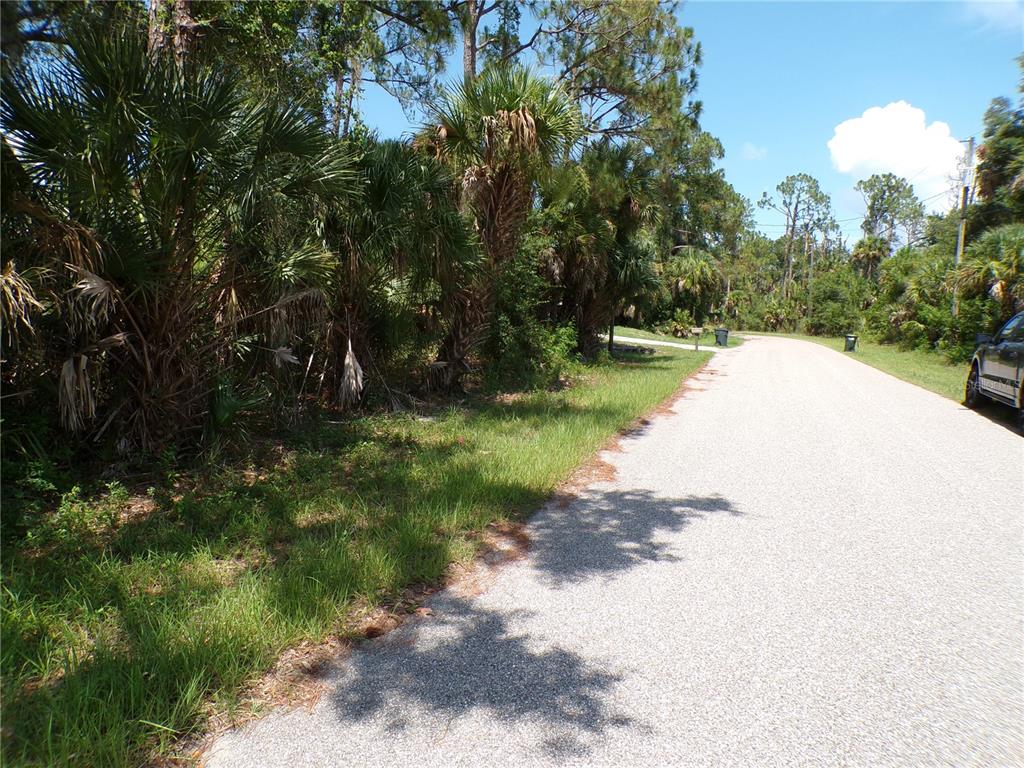 A paved road runs alongside a wooded lot with palm trees and dense vegetation — ARMENIA ROAD, NORTH PORT, FL