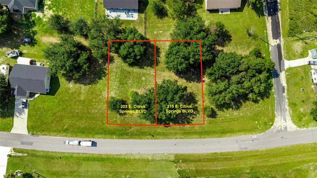 This aerial view shows two adjacent vacant lots outlined in red along a paved road — 203 & 215 E CITRUS SPRINGS BOULEVARD, CITRUS SPRINGS, FL