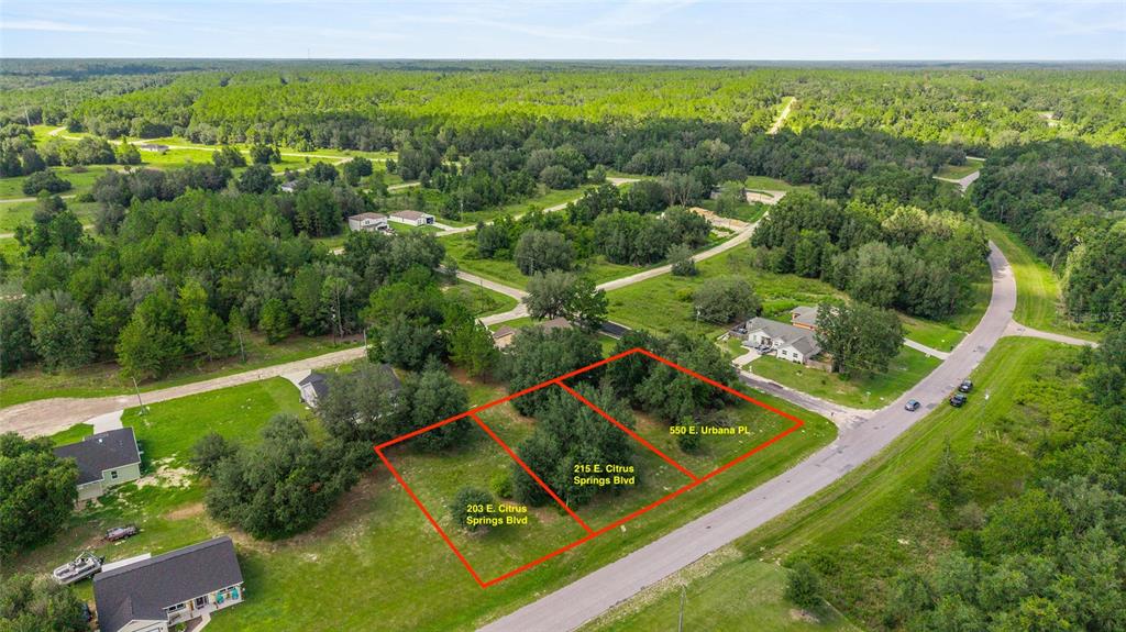 An aerial view shows three adjacent vacant lots outlined in red within a wooded neighborhood — 203 & 215 E CITRUS SPRINGS BOULEVARD, CITRUS SPRINGS, FL