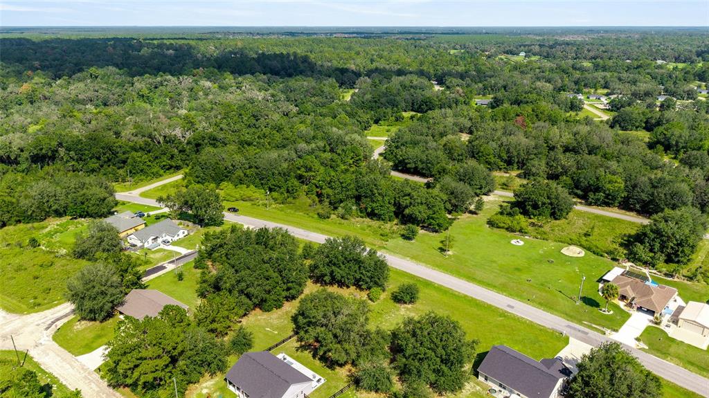 An aerial view shows several houses situated among trees and grassy lots along a road — 203 & 215 E CITRUS SPRINGS BOULEVARD, CITRUS SPRINGS, FL