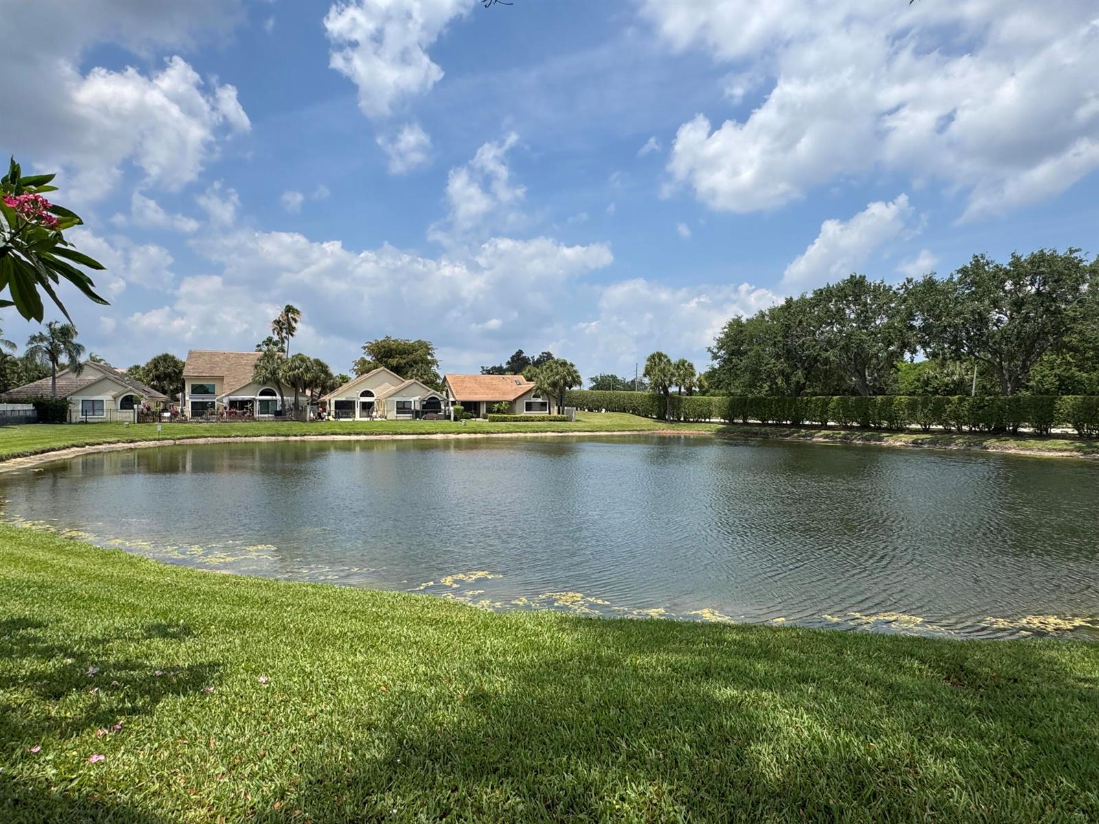 A pond sits in front of several houses with a manicured lawn and trees nearby — 6803 Bitterbush Place, Boynton Beach FL 33472, BOYNTON BEACH, FL