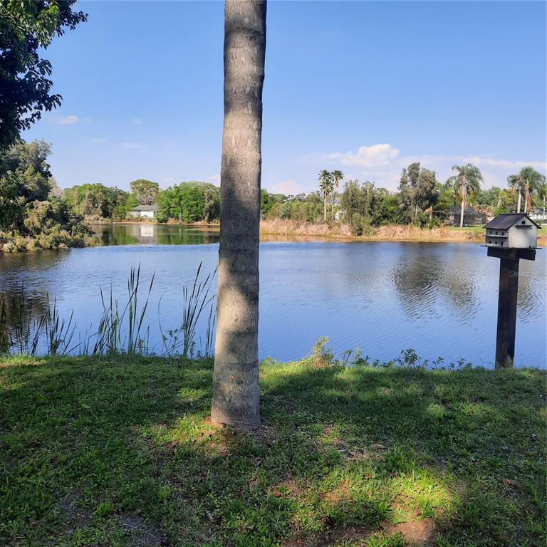 A view of a lake from a grassy yard with a tree and birdhouse — 10502 HINDS PLACE, ODESSA, FL