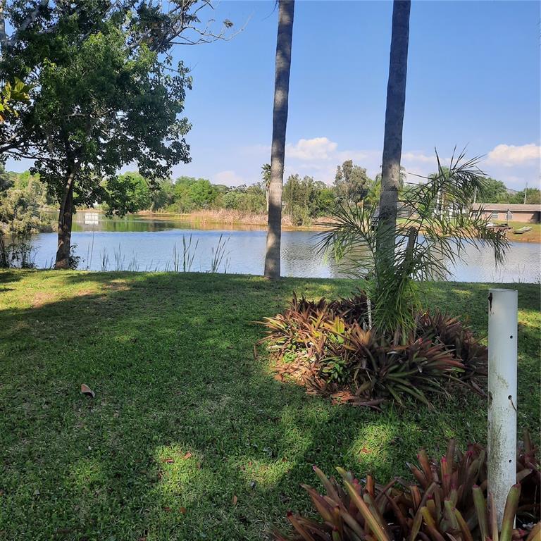 A grassy backyard overlooks a calm lake with palm trees and surrounding vegetation — 10502 HINDS PLACE, ODESSA, FL