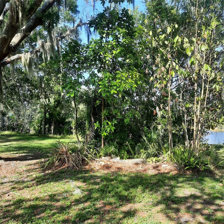 A grassy yard with trees and Spanish moss leads to a view of a lake — 10502 HINDS PLACE, ODESSA, FL