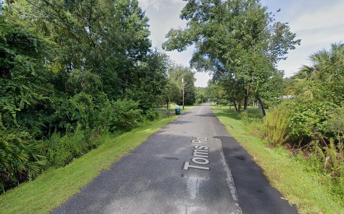 A narrow, paved road winds through a lush, tree-lined residential area under a bright sky — 240 Toms Road, FL 32713, FL