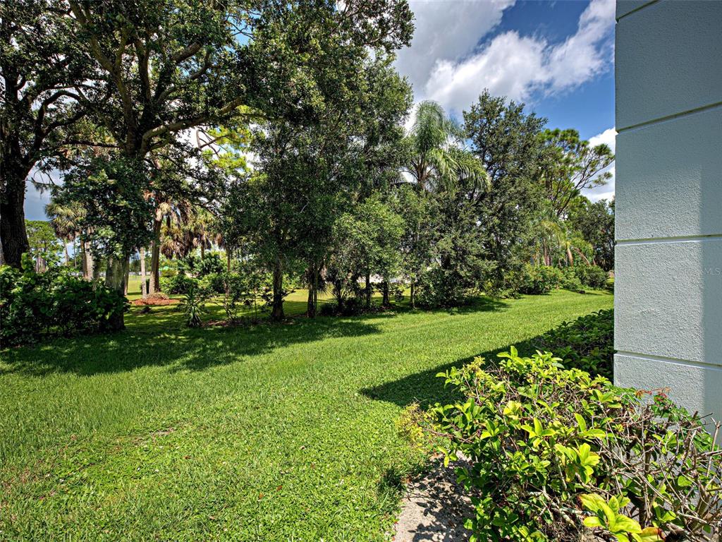 A grassy backyard features a variety of trees and shrubs next to a white wall — 5725 GREENWOOD AVENUE UNIT 9201, NORTH PORT, FL