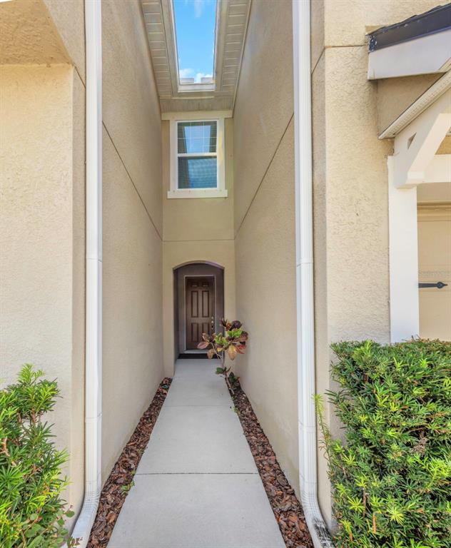 A narrow concrete walkway leads to a front door framed by two white downspouts — 14203 DAMSELFLY DRIVE, TAMPA, FL