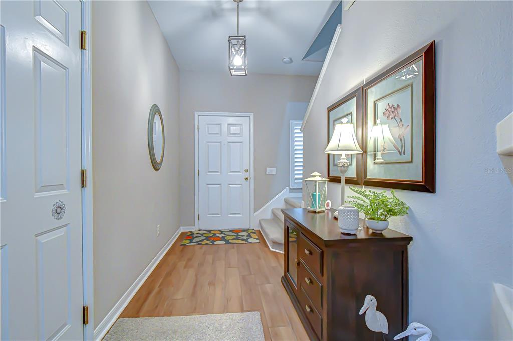 An entryway features wood-look flooring, a dark wood console table, and a white front door — 2938 LOCHCARRON DRIVE, LAND O LAKES, FL