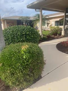 A concrete walkway leads toward the entrance of a single-story house with manicured shrubs — 13368 Via Vesta # B, Delray Beach FL 33484, DELRAY BEACH, FL