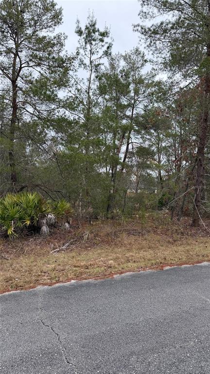 MALAUKA DRIVE, OCKLAWAHA, FL — photo 2 of 9