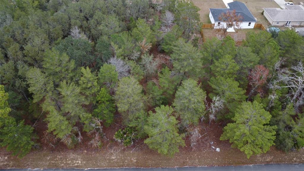 MALAUKA DRIVE, OCKLAWAHA, FL — photo 3 of 9