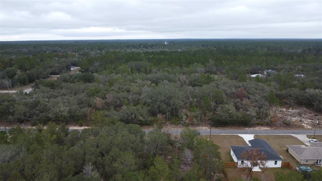 MALAUKA DRIVE, OCKLAWAHA, FL — photo 4 of 9
